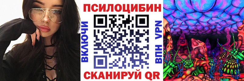 Купить  Великий Устюг  Псилоцибиновые грибы Psilocybine cubensis 